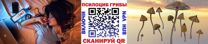 Псилоцибиновые грибы Psilocybe где можно купить Бакал