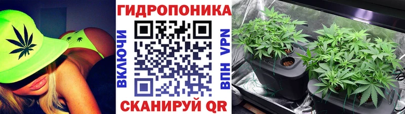 Бошки Шишки OG Kush  закладки  Бакал 